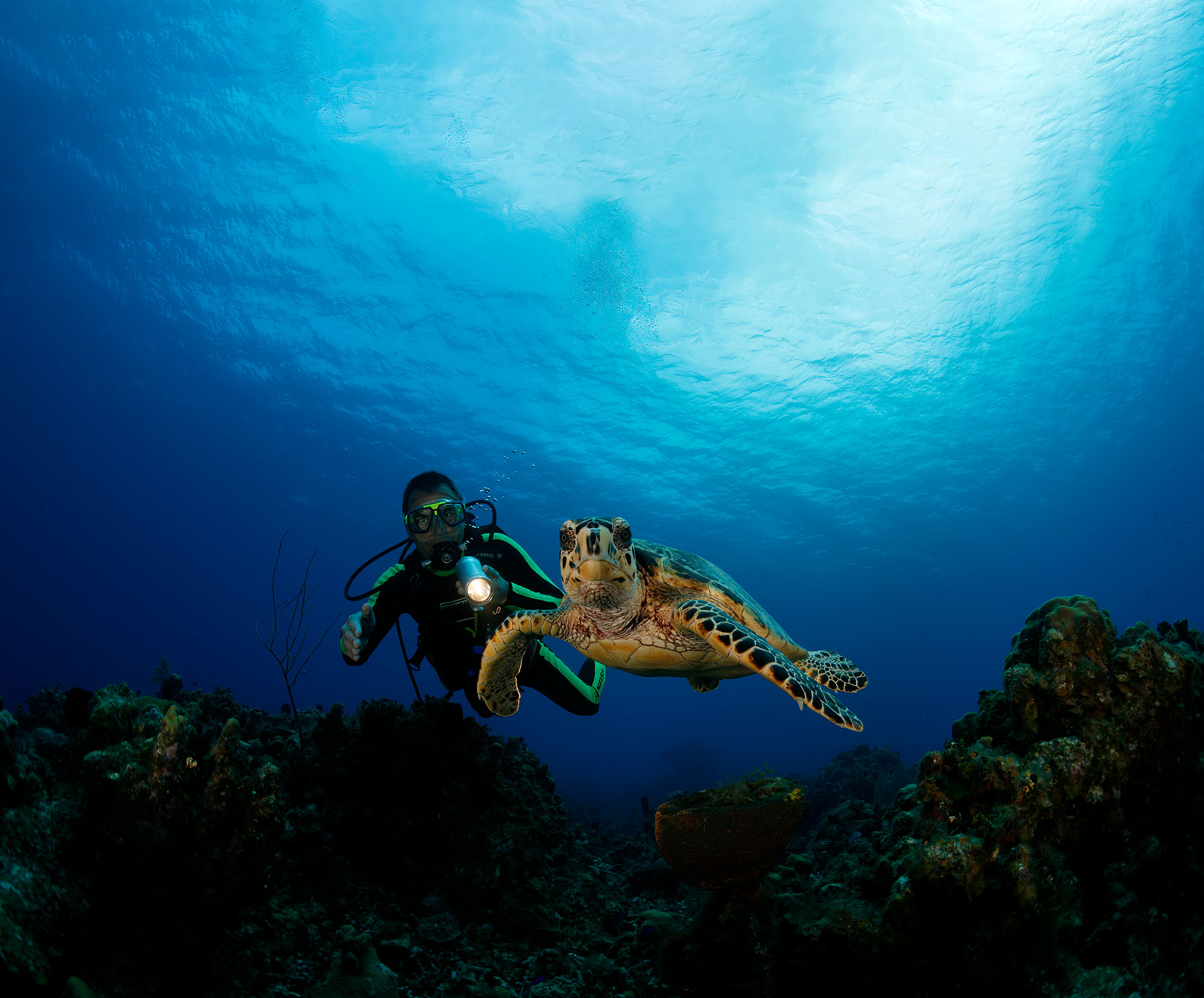 AKUSTIK-TEX&reg; OCEAN For a clean Ocean