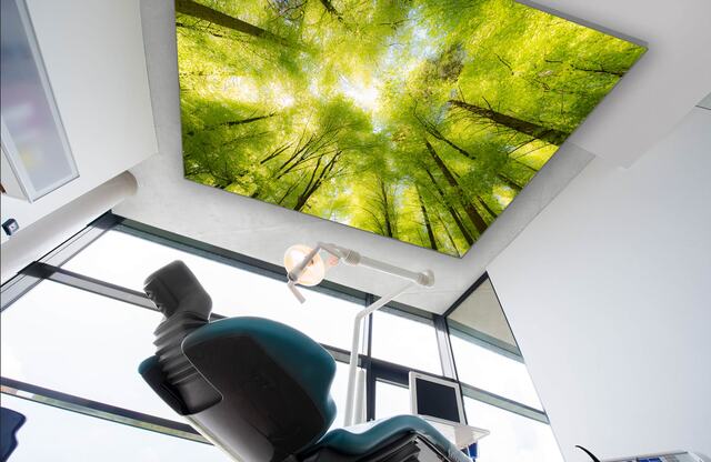 Traumbaum &ndash; Akustikbilder und Schallabsorber von SCHALLSAUGER&reg;