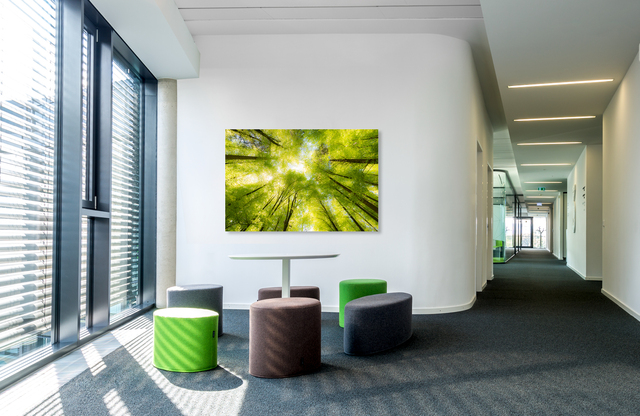 Traumbaum &ndash; Akustikbilder und Schallabsorber von SCHALLSAUGER&reg;