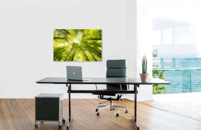 Traumbaum &ndash; Akustikbilder und Schallabsorber von SCHALLSAUGER&reg;