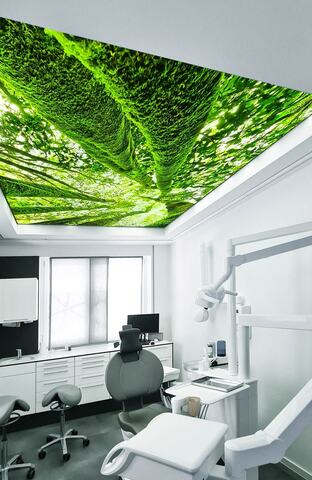 Stammbaum &ndash; Akustikbilder und Schallabsorber von SCHALLSAUGER&reg;