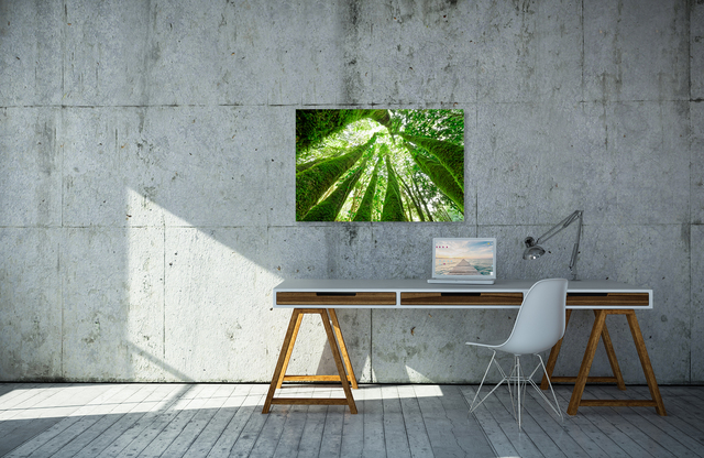 Stammbaum &ndash; Akustikbilder und Schallabsorber von SCHALLSAUGER&reg;