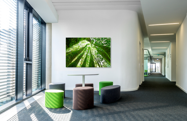 Stammbaum &ndash; Akustikbilder und Schallabsorber von SCHALLSAUGER&reg;