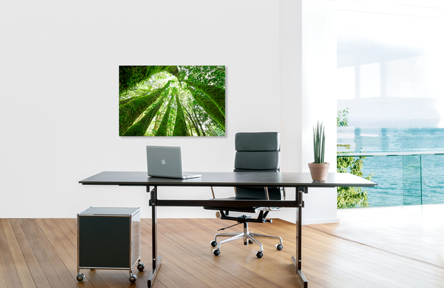 Stammbaum &ndash; Akustikbilder und Schallabsorber von SCHALLSAUGER&reg;