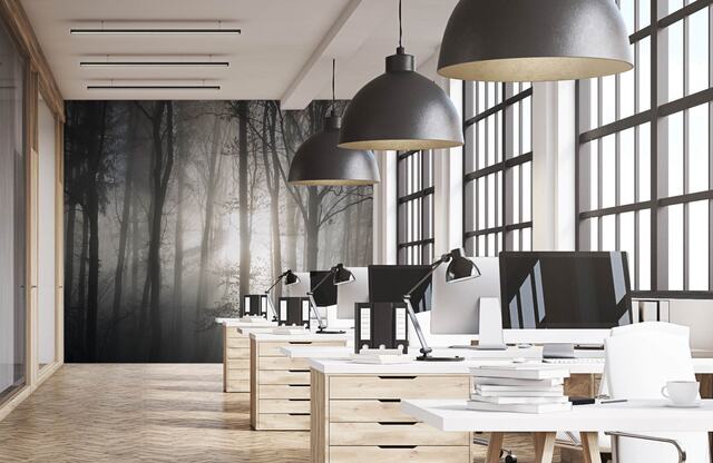 Waldtraum &ndash; Akustikbilder und Schallabsorber von SCHALLSAUGER&reg;