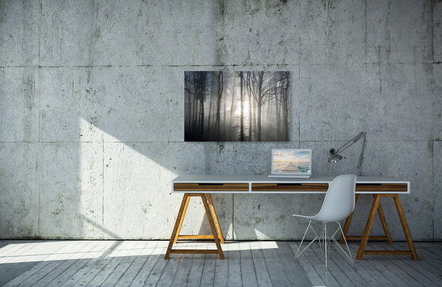 Waldtraum &ndash; Akustikbilder und Schallabsorber von SCHALLSAUGER&reg;