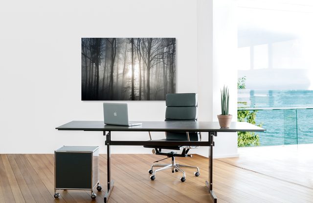 Waldtraum &ndash; Akustikbilder und Schallabsorber von SCHALLSAUGER&reg;