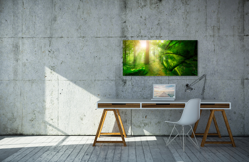 Magic Forest &ndash; Akustikbilder und Schallabsorber von SCHALLSAUGER&reg;