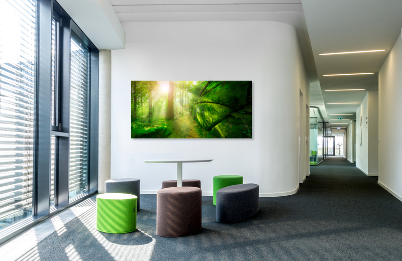 Magic Forest &ndash; Akustikbilder und Schallabsorber von SCHALLSAUGER&reg;