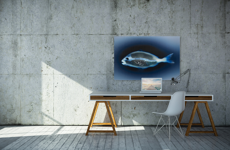 The fishing fright &ndash; Akustikbilder und Schallabsorber von SCHALLSAUGER&reg;