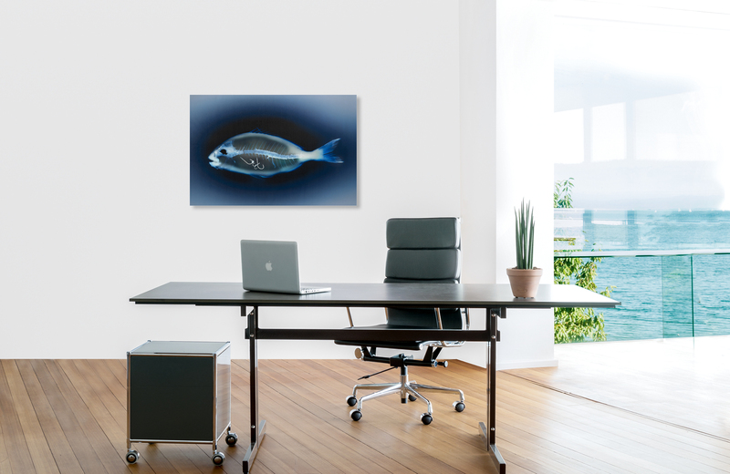 The fishing fright &ndash; Akustikbilder und Schallabsorber von SCHALLSAUGER&reg;