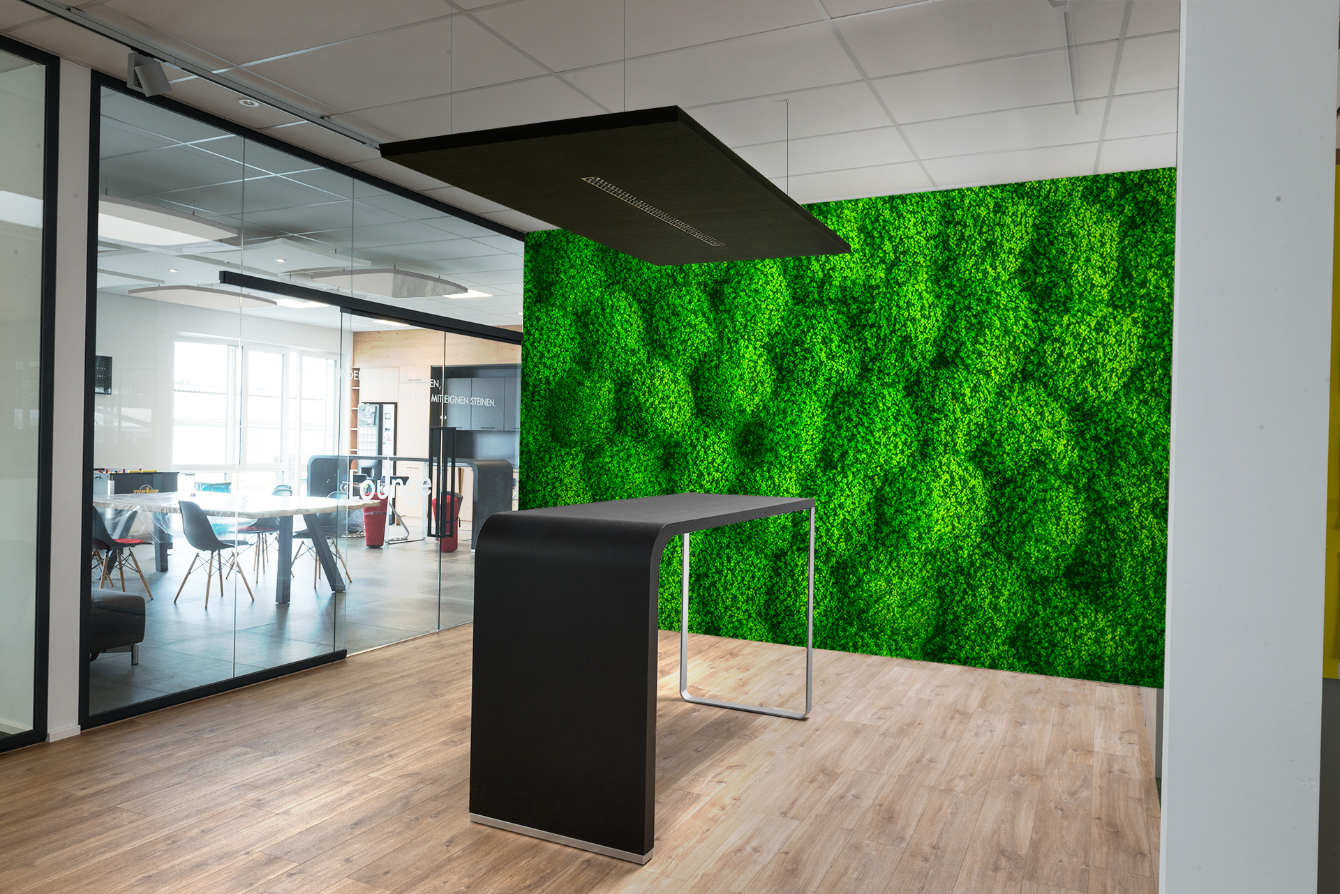 Bubi &ndash; Akustikbilder und Schallabsorber von SCHALLSAUGER&reg;