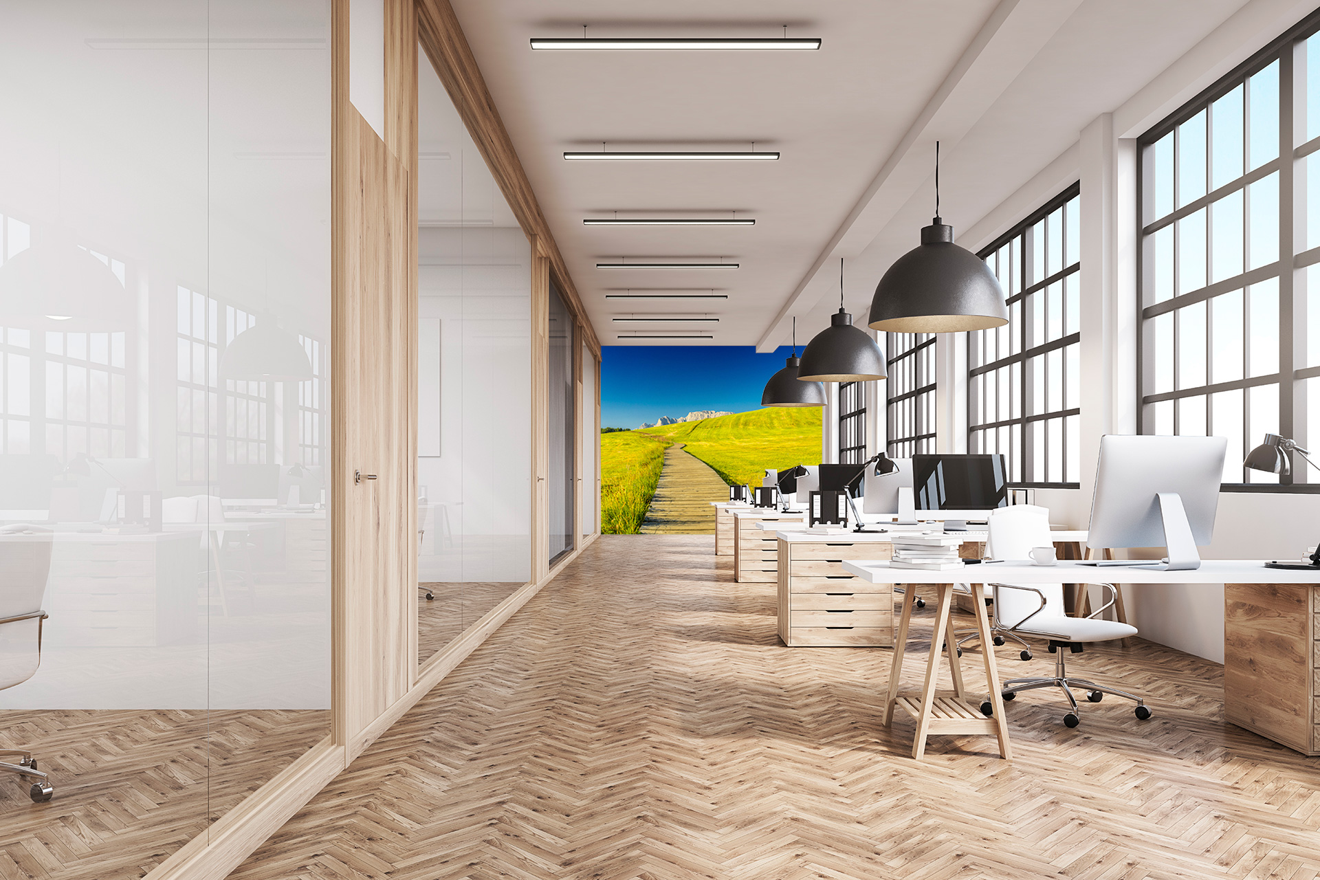 Wiesensteg &ndash; Akustikbilder und Schallabsorber von SCHALLSAUGER&reg;