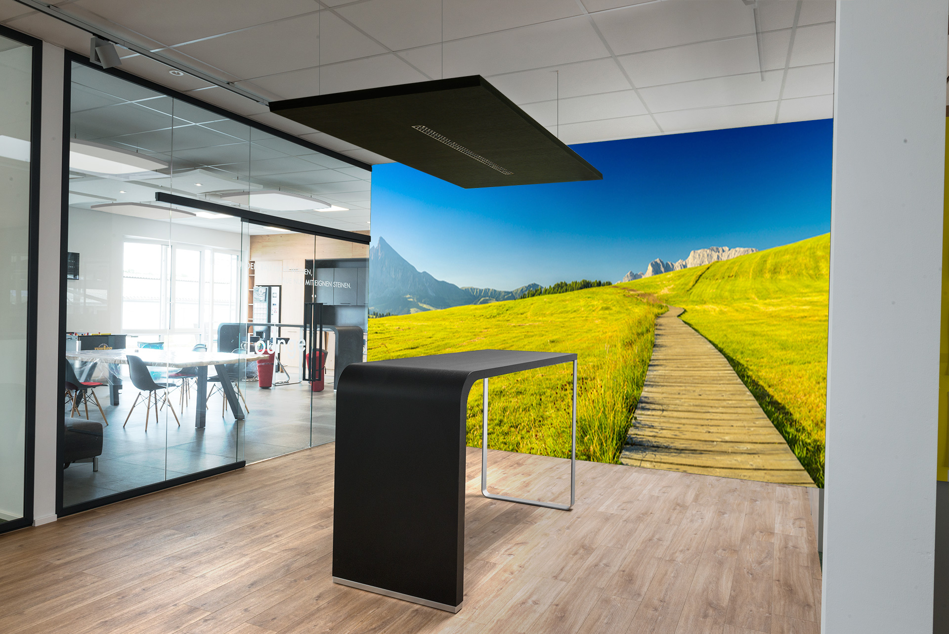 Wiesensteg &ndash; Akustikbilder und Schallabsorber von SCHALLSAUGER&reg;