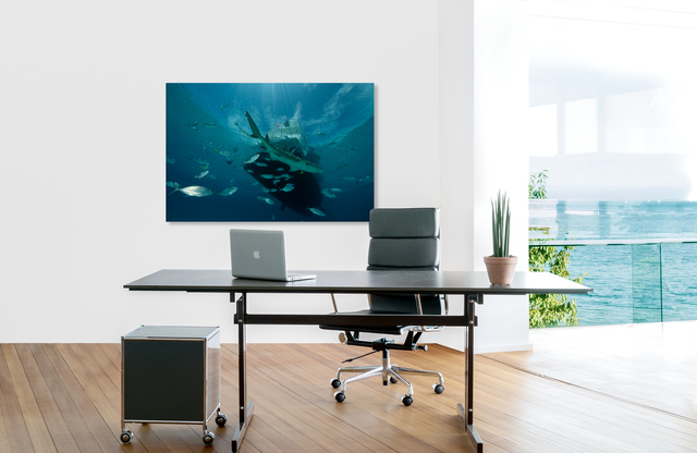 Hai-Noon &ndash; Akustikbilder und Schallabsorber von SCHALLSAUGER&reg;