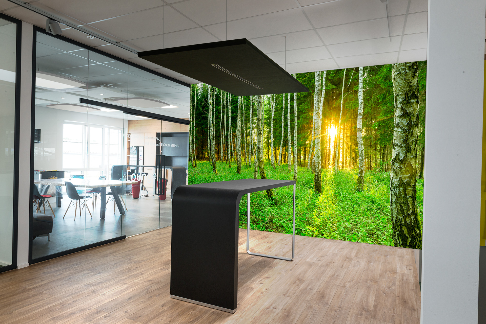 Birkenwald &ndash; Akustikbilder und Schallabsorber von SCHALLSAUGER&reg;