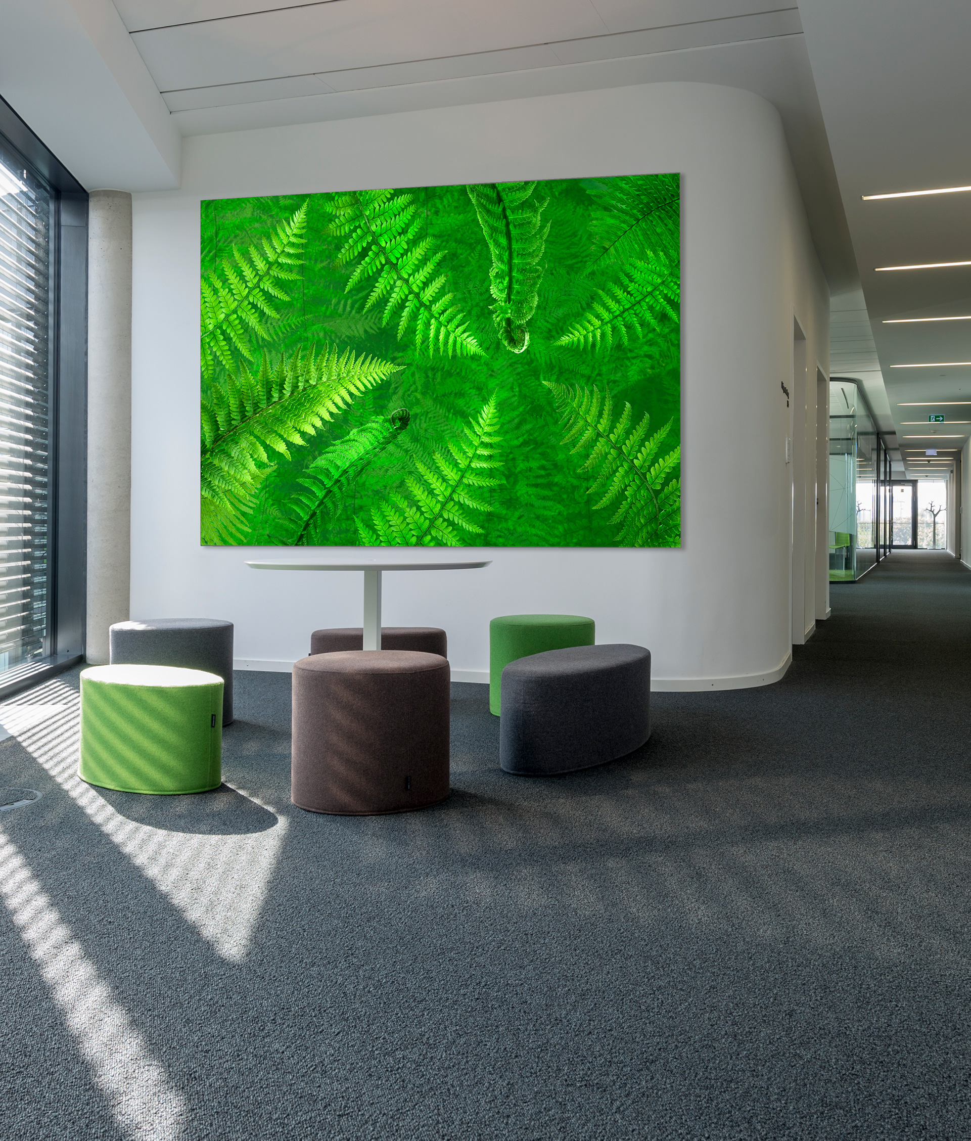 Leuchtfarn &ndash; Akustikbilder und Schallabsorber von SCHALLSAUGER&reg;