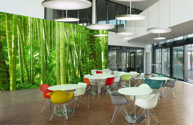 bamboo garden &ndash;Hochaufl&ouml;sende Fotos und Motive f&uuml;r Akustikbilder