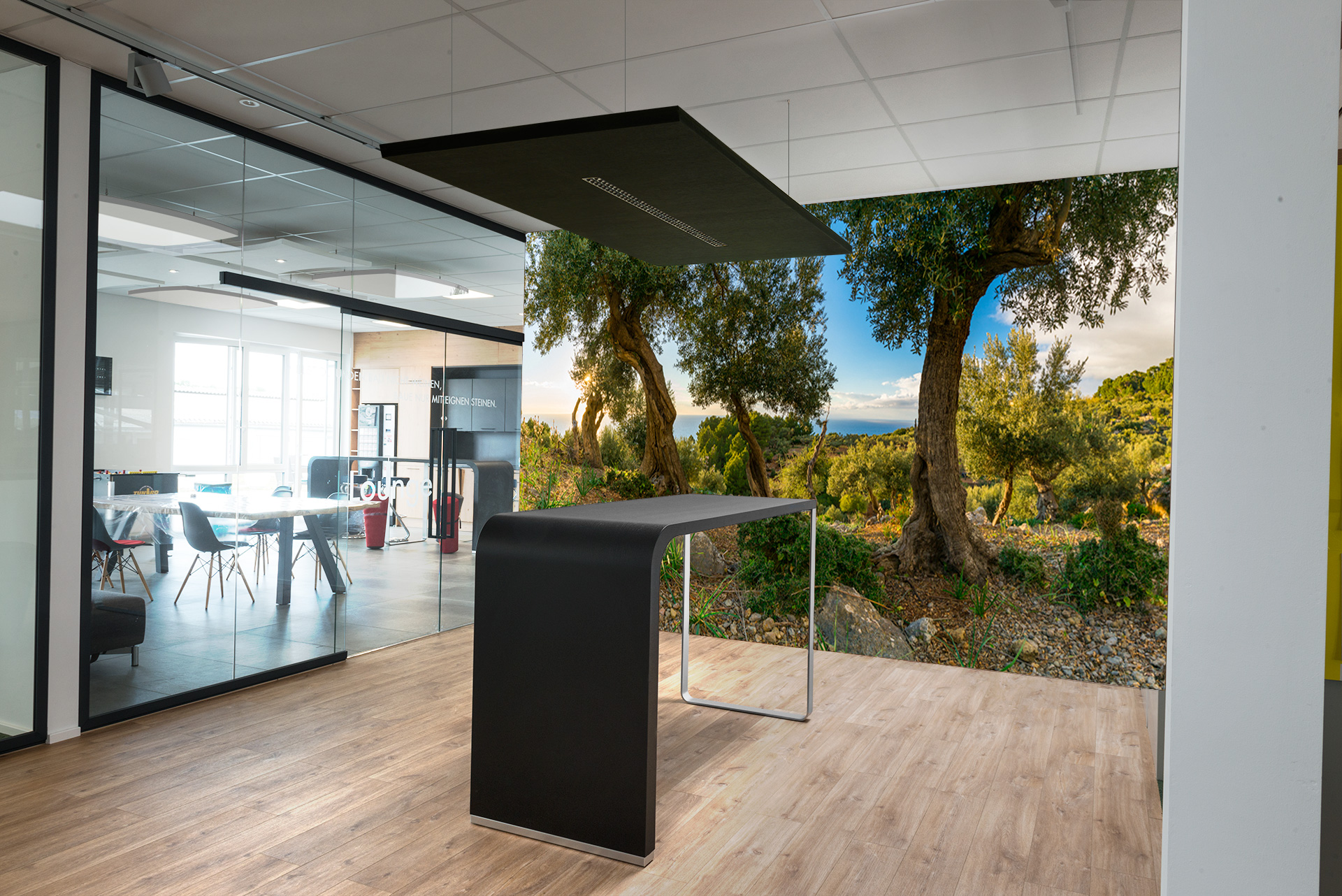 Westk&uuml;ste Mallorca &ndash; Akustikbilder und Schallabsorber von SCHALLSAUGER&reg;