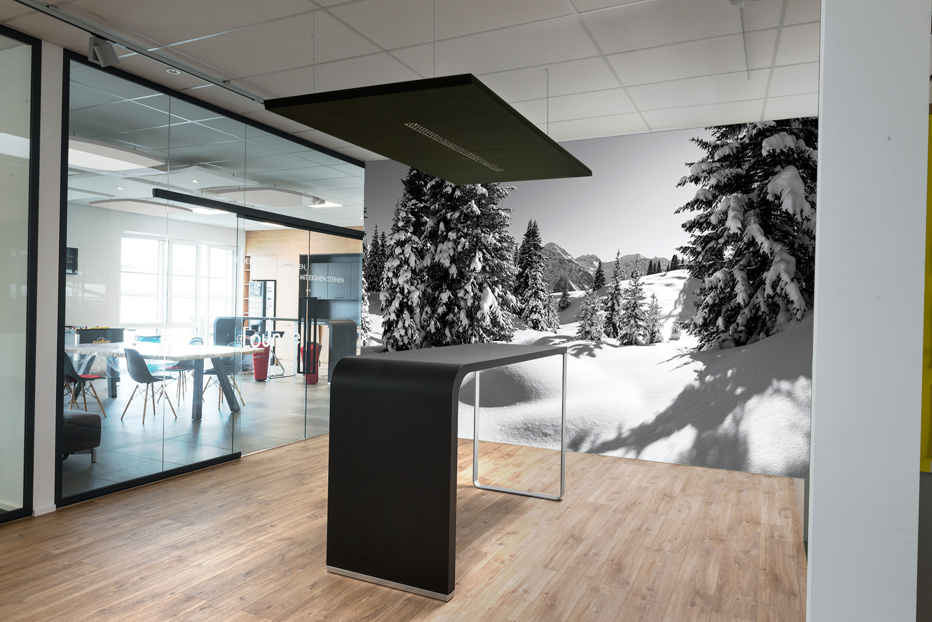 Winter Black and White &ndash; Akustikbilder und Schallabsorber von SCHALLSAUGER&reg;