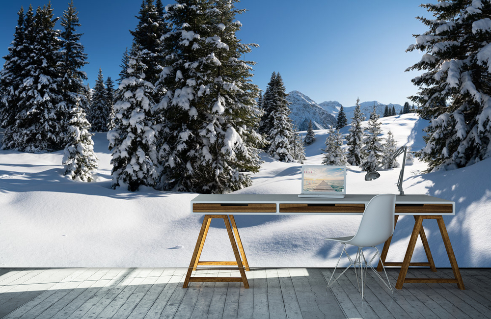 arosa wintertraum &ndash; Akustikbilder und Schallabsorber von SCHALLSAUGER&reg;