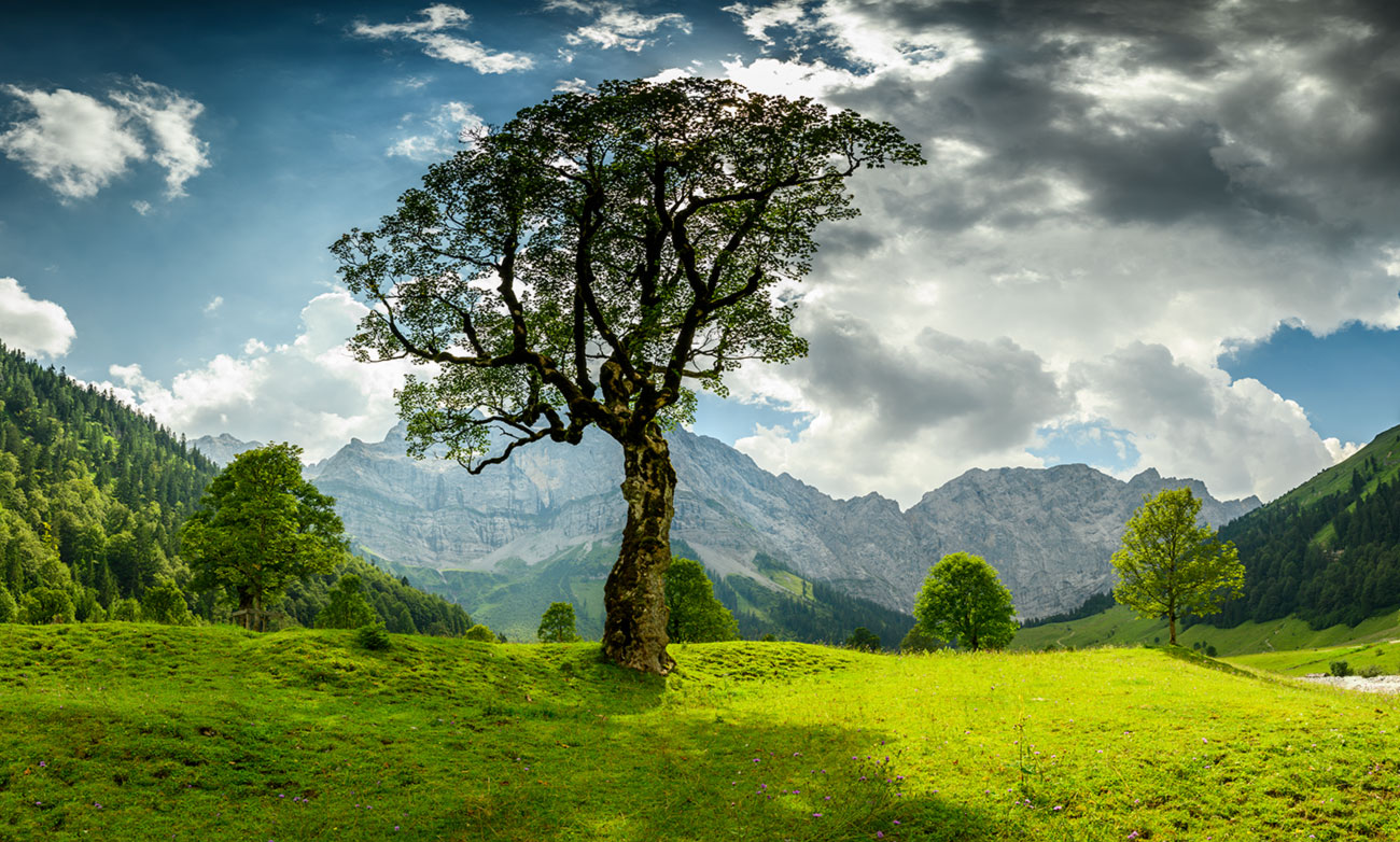 ahornboden alpen &ndash; Akustikbilder und Schallabsorber von SCHALLSAUGER&reg;