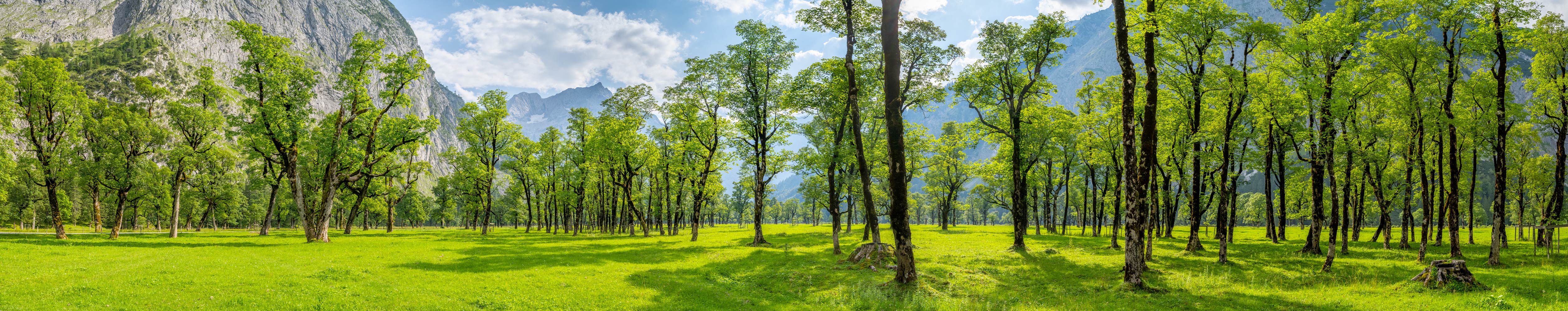 ahornboden panorama