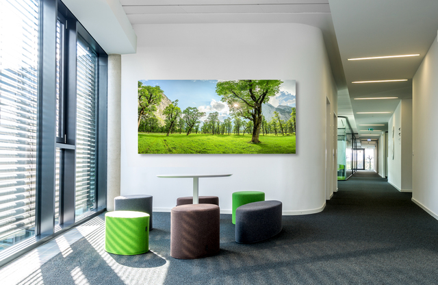 ahornboden &ndash; Akustikbilder und Schallabsorber von SCHALLSAUGER&reg;