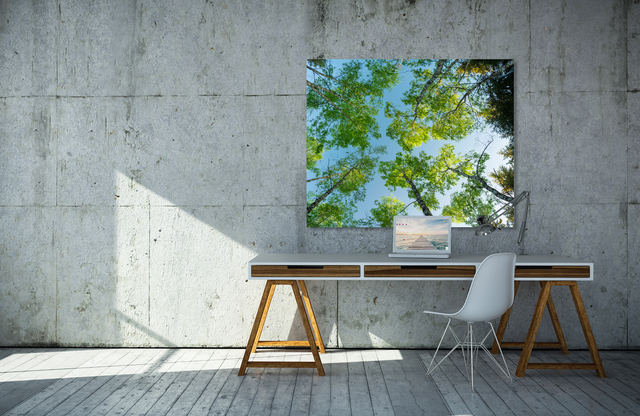 birken &ndash; Akustikbilder und Schallabsorber von SCHALLSAUGER&reg;