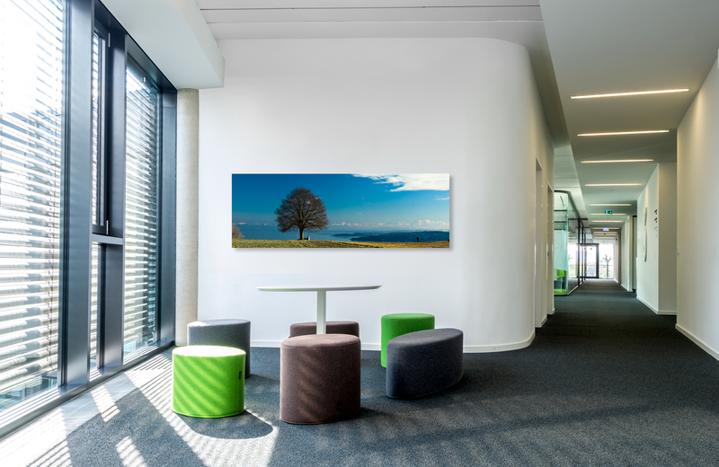 h&ouml;dingen &ndash; Akustikbilder und Schallabsorber von SCHALLSAUGER&reg;