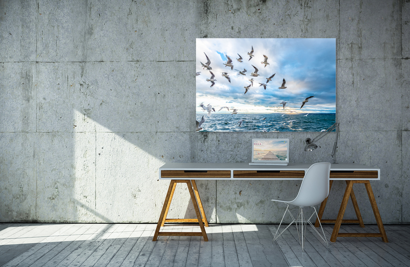 m&ouml;wen &ndash; Akustikbilder und Schallabsorber von SCHALLSAUGER&reg;