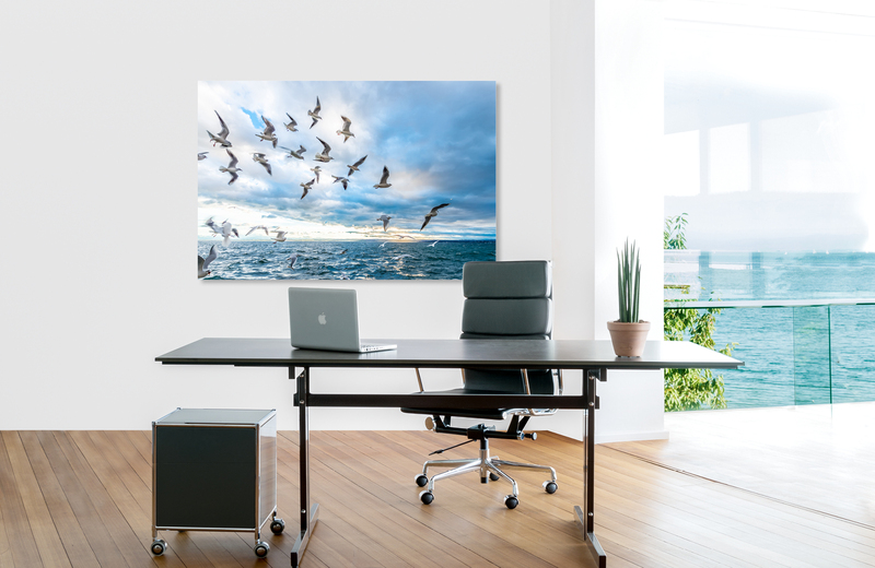 m&ouml;wen &ndash; Akustikbilder und Schallabsorber von SCHALLSAUGER&reg;