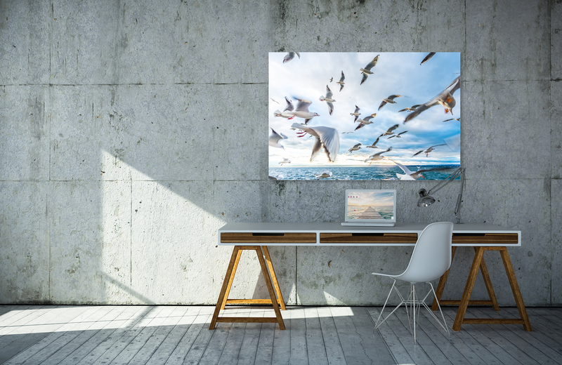 m&ouml;wen am bodensee &ndash; Akustikbilder und Schallabsorber von SCHALLSAUGER&reg;