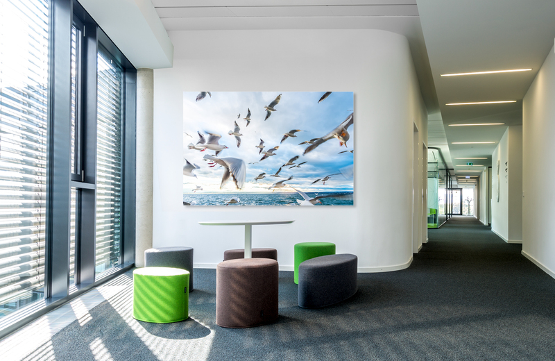 m&ouml;wen am bodensee &ndash; Akustikbilder und Schallabsorber von SCHALLSAUGER&reg;