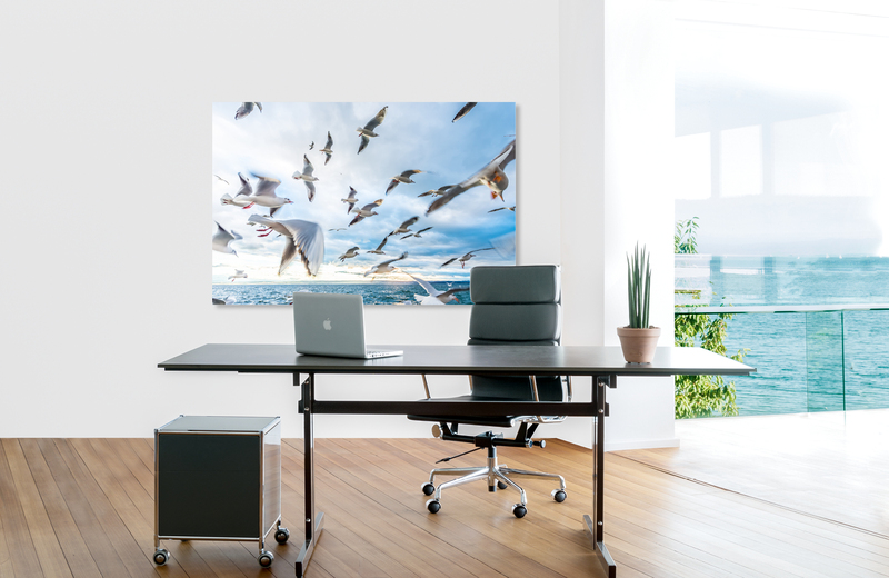 m&ouml;wen am bodensee &ndash; Akustikbilder und Schallabsorber von SCHALLSAUGER&reg;