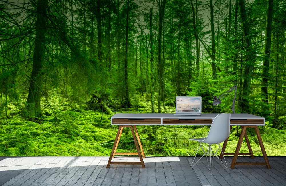 federsee wald &ndash; Akustikbilder und Schallabsorber von SCHALLSAUGER&reg;