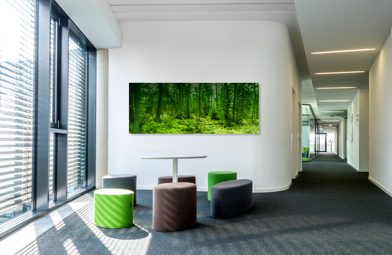 federsee wald &ndash; Akustikbilder und Schallabsorber von SCHALLSAUGER&reg;