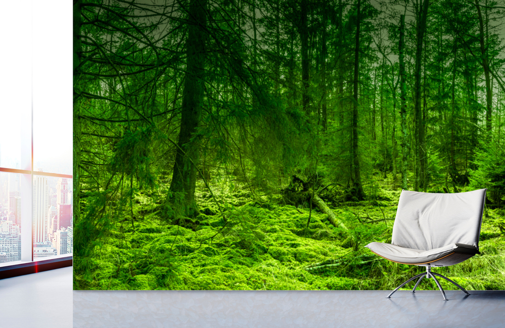 federsee wald &ndash; Akustikbilder und Schallabsorber von SCHALLSAUGER&reg;