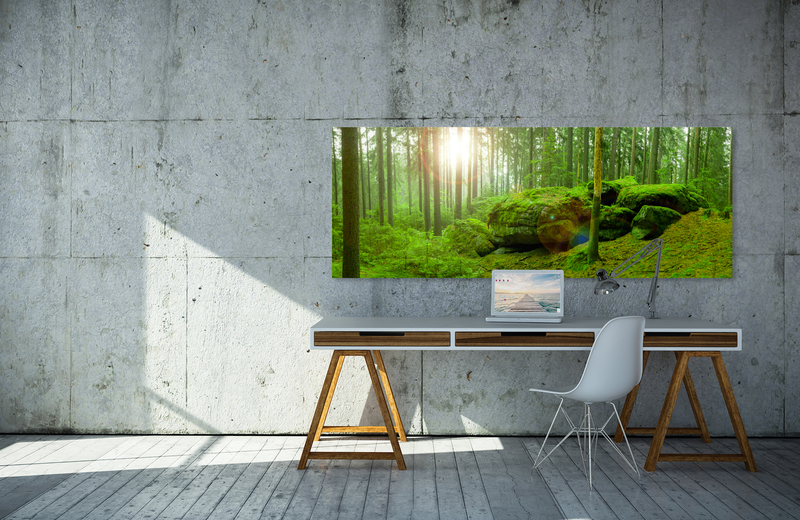 Waldlandschaft fichtelgebirge &ndash; Akustikbilder und Schallabsorber von SCHALLSAUGER&reg;