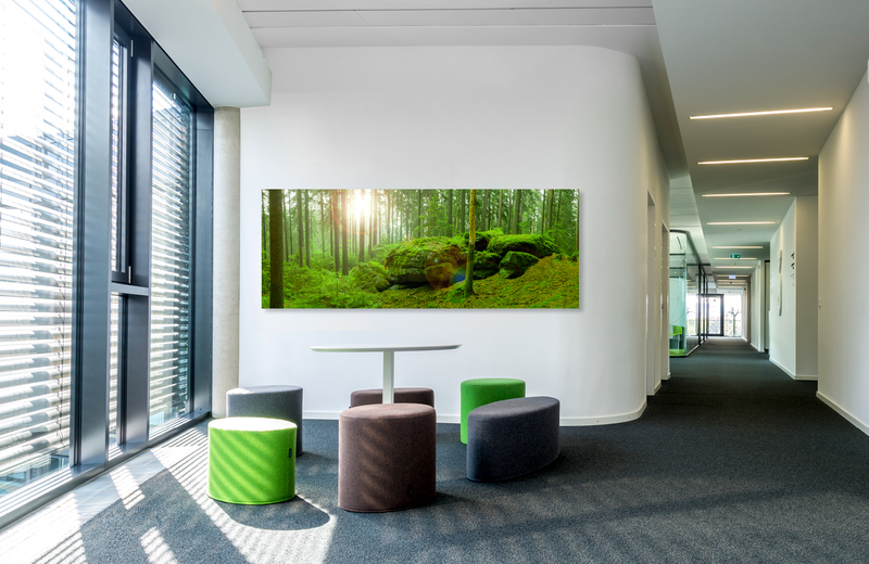 Waldlandschaft fichtelgebirge &ndash; Akustikbilder und Schallabsorber von SCHALLSAUGER&reg;