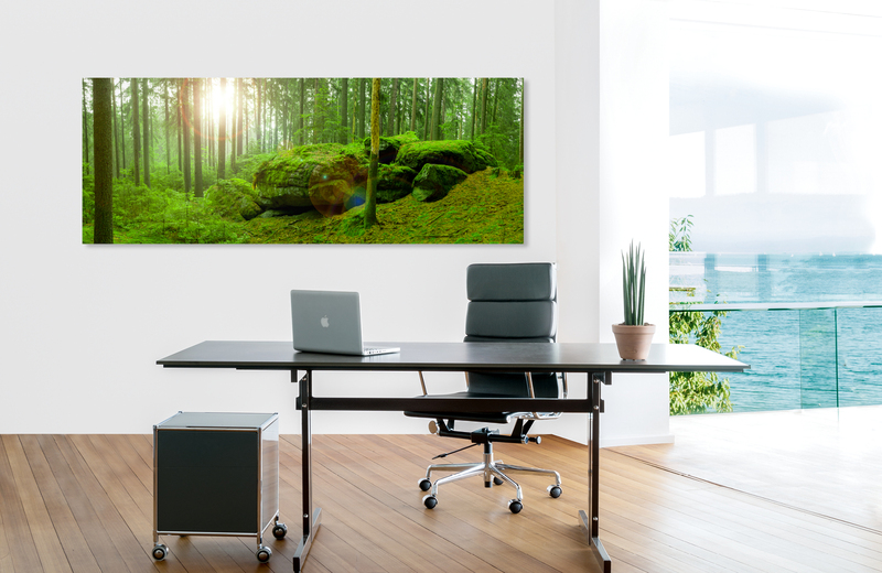 Waldlandschaft fichtelgebirge &ndash; Akustikbilder und Schallabsorber von SCHALLSAUGER&reg;