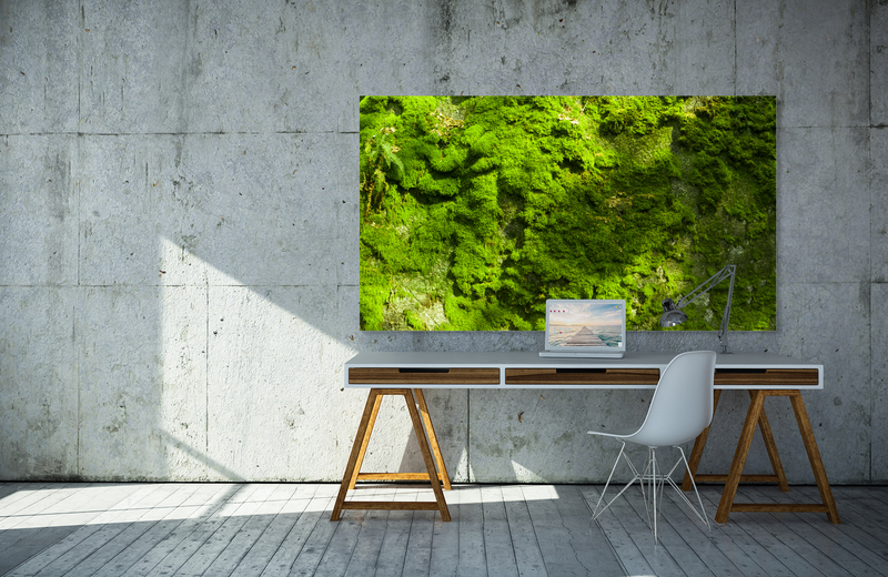 fichtelgebirge mooswand &ndash; Akustikbilder und Schallabsorber von SCHALLSAUGER&reg;