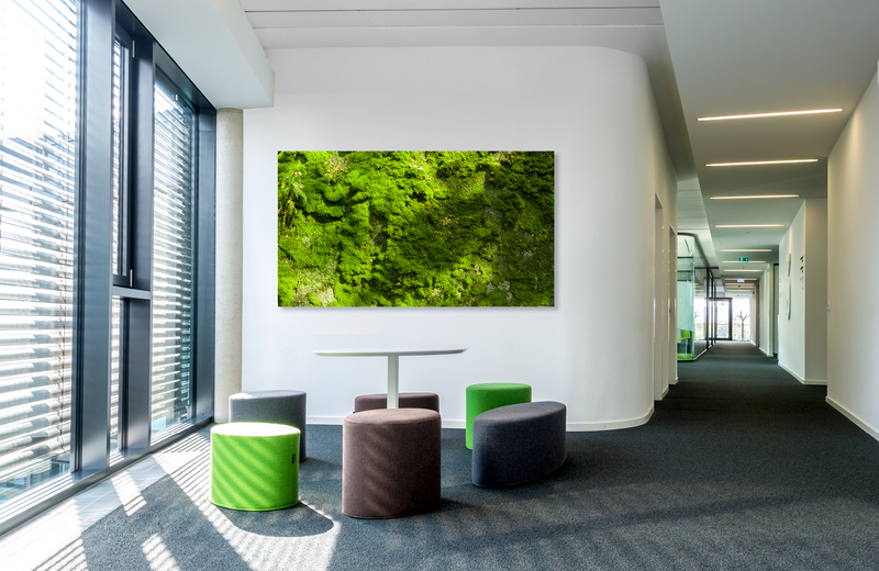 fichtelgebirge mooswand &ndash; Akustikbilder und Schallabsorber von SCHALLSAUGER&reg;