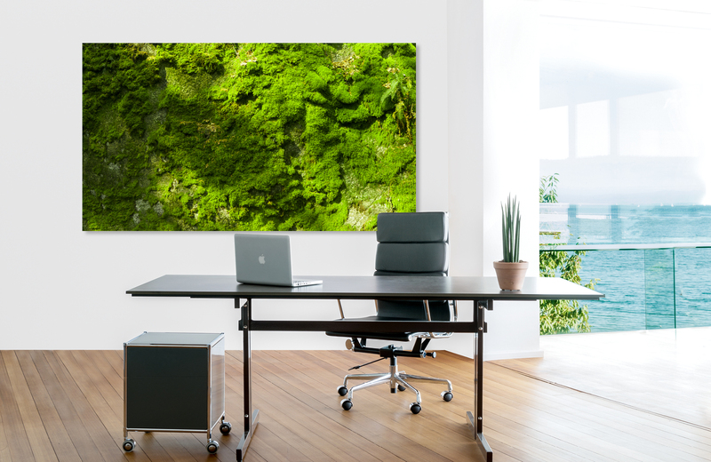 fichtelgebirge mooswand &ndash; Akustikbilder und Schallabsorber von SCHALLSAUGER&reg;