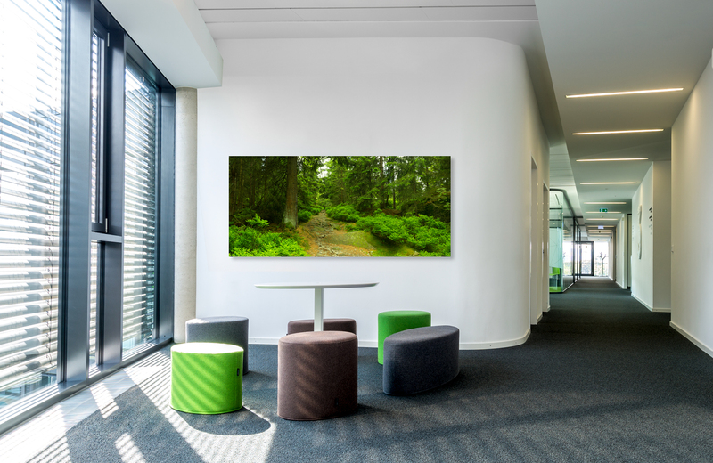 M&auml;rchenwald in fichtelgebirge &ndash; Akustikbilder und Schallabsorber von SCHALLSAUGER&reg;