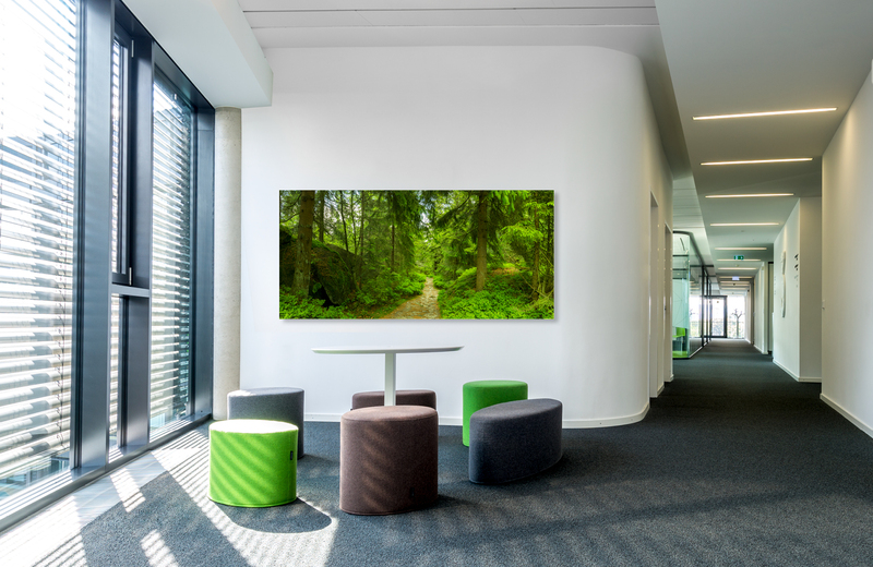 fichtelgebirge waldlandschaft &ndash; Akustikbilder und Schallabsorber von SCHALLSAUGER&reg;