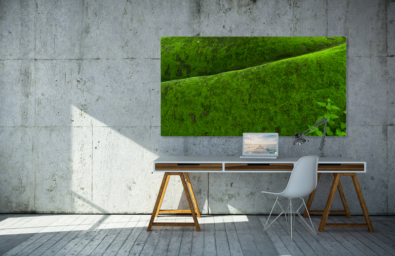 moosstruktur &ndash; Akustikbilder und Schallabsorber von SCHALLSAUGER&reg;