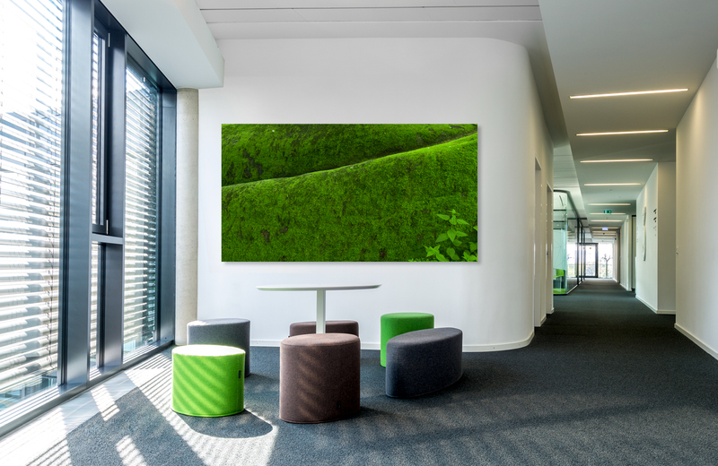 moosstruktur &ndash; Akustikbilder und Schallabsorber von SCHALLSAUGER&reg;