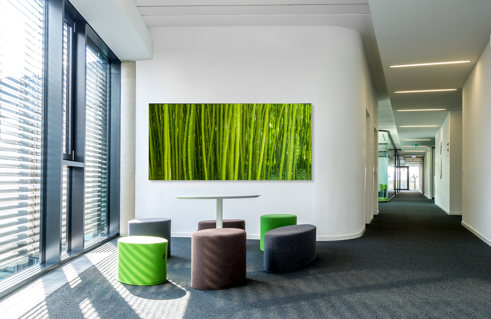 bambuswald &ndash; Akustikbilder und Schallabsorber von SCHALLSAUGER&reg;