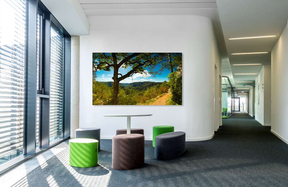 montpellier le vieux &ndash; Akustikbilder und Schallabsorber von SCHALLSAUGER&reg;